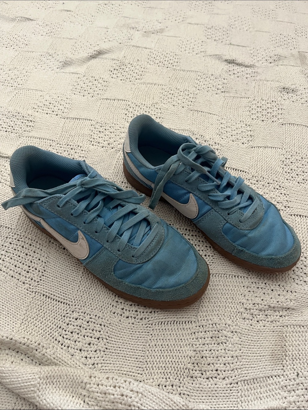 Nike Kids Sky Blue Low-Top Sneakers with White Swoosh